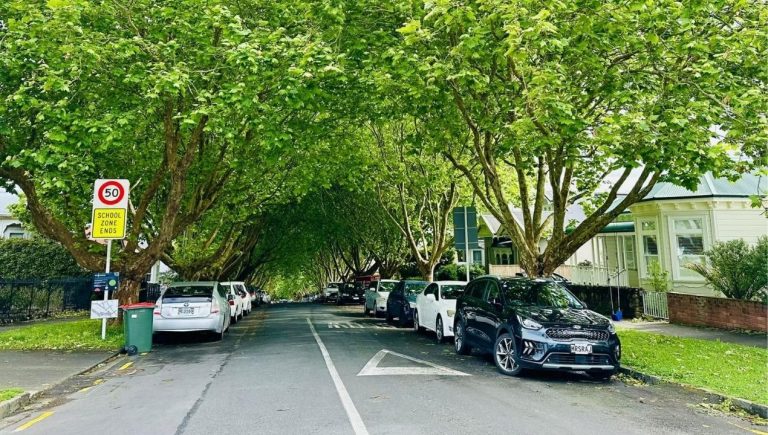 Bosonogi v trgovino, a brez slovenske kave: Slovenka o življenju na Novi Zelandiji