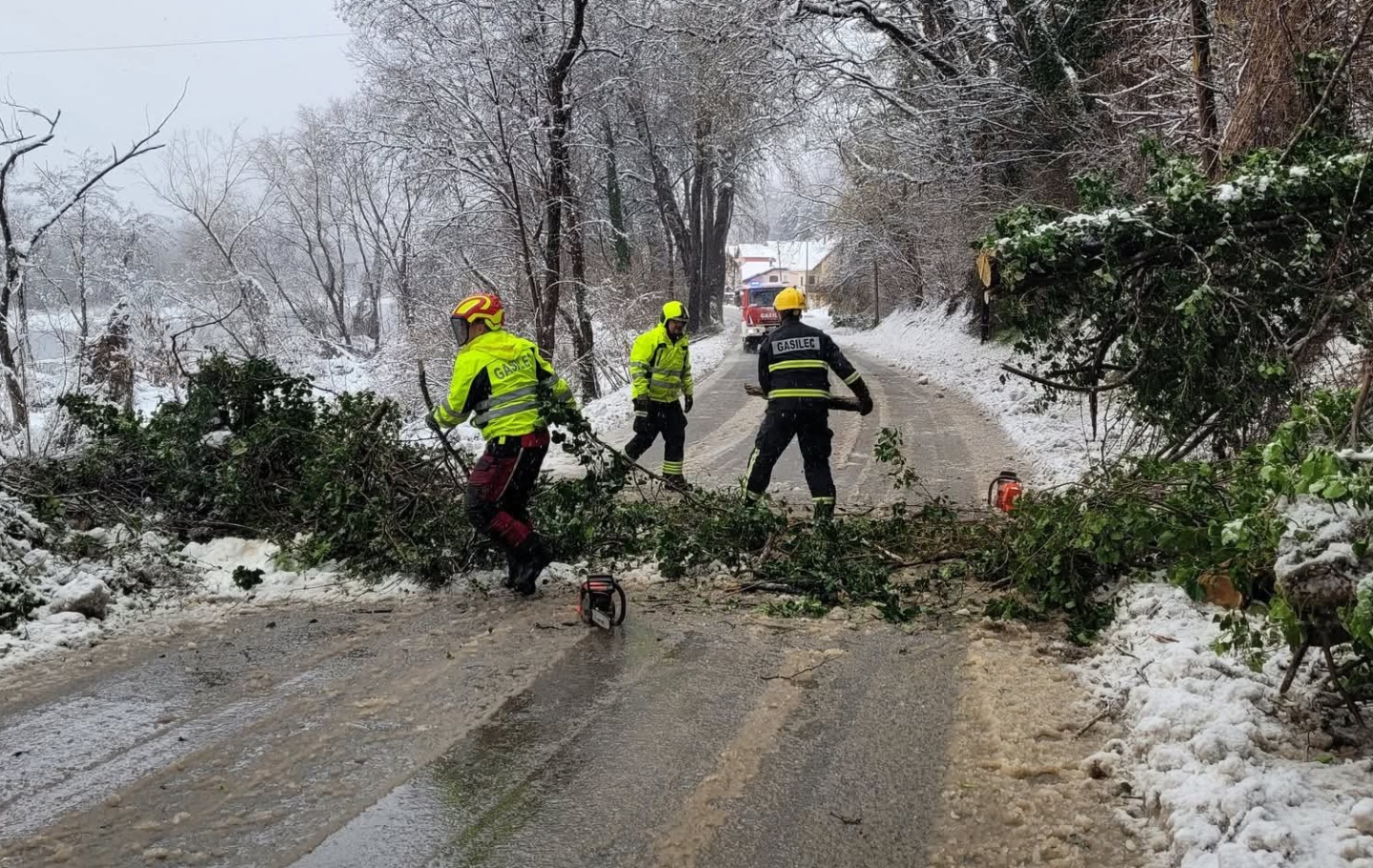 Snežna ujma poškodovala okoli 60.000 kubičnih metrov drevja: Če ne boste storili tega, boste ob denar
