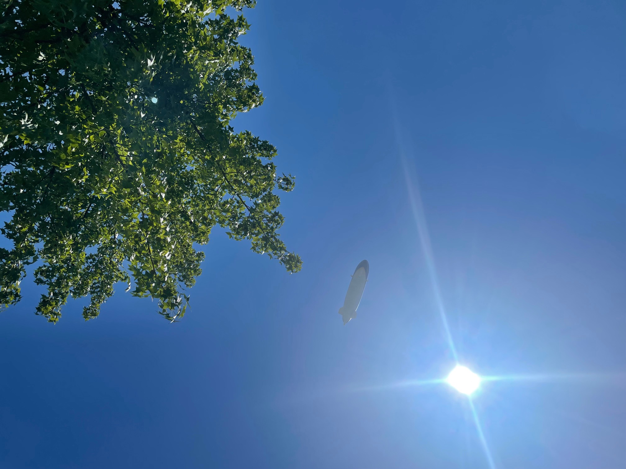 Izdano oranžno opozorilo: Vročinski val bo trajal še teden dni, danes pričakujejo 38 °C