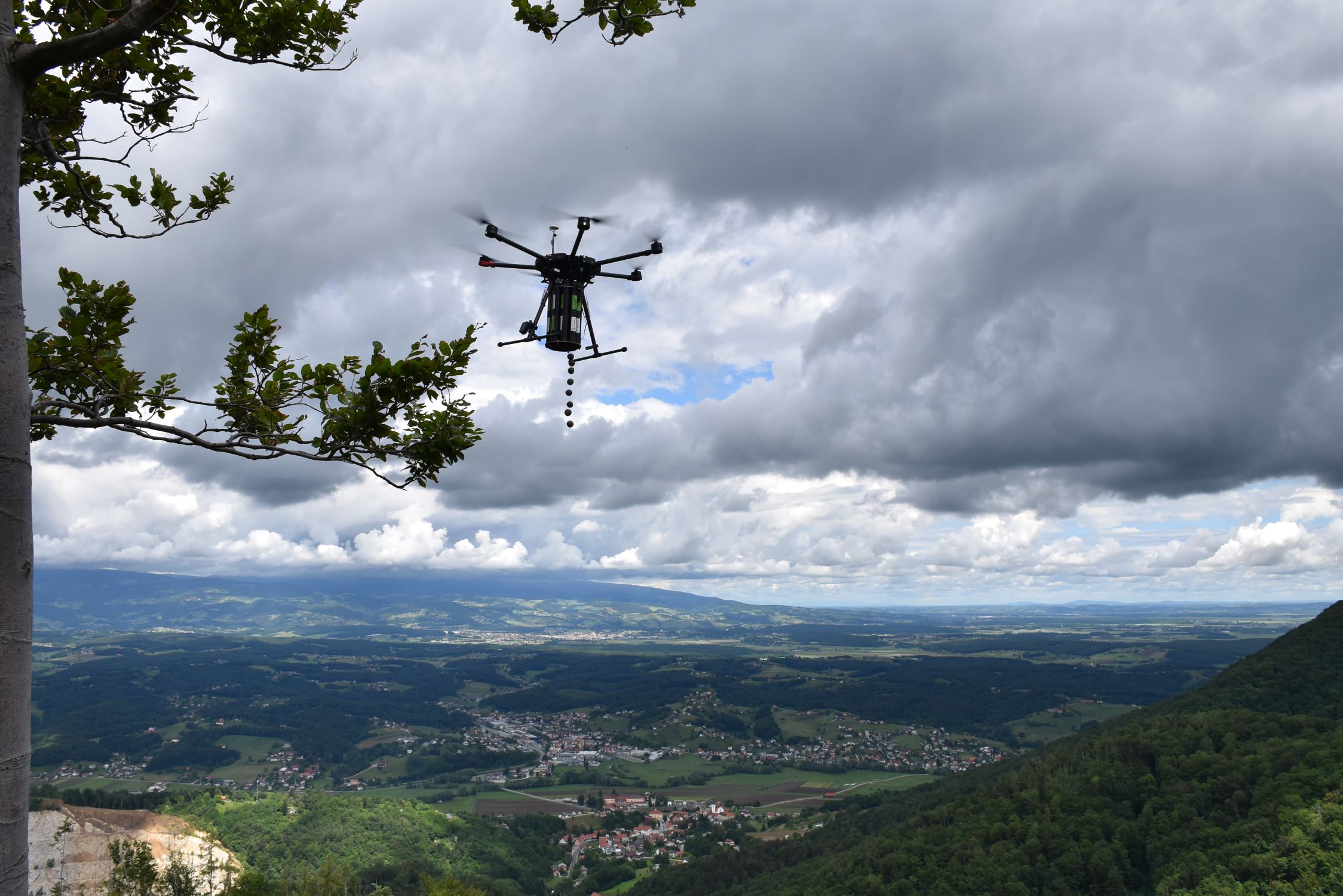 Setev dreves iz neba: Ste že videli, kako droni pomagajo pri obnovi gozdov?