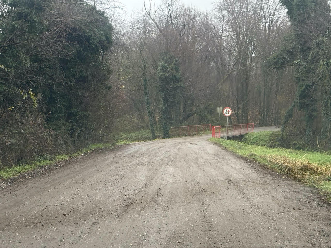 Azbestne plošče sredi Stražunskega gozda: Kdo jih bo odstranil?