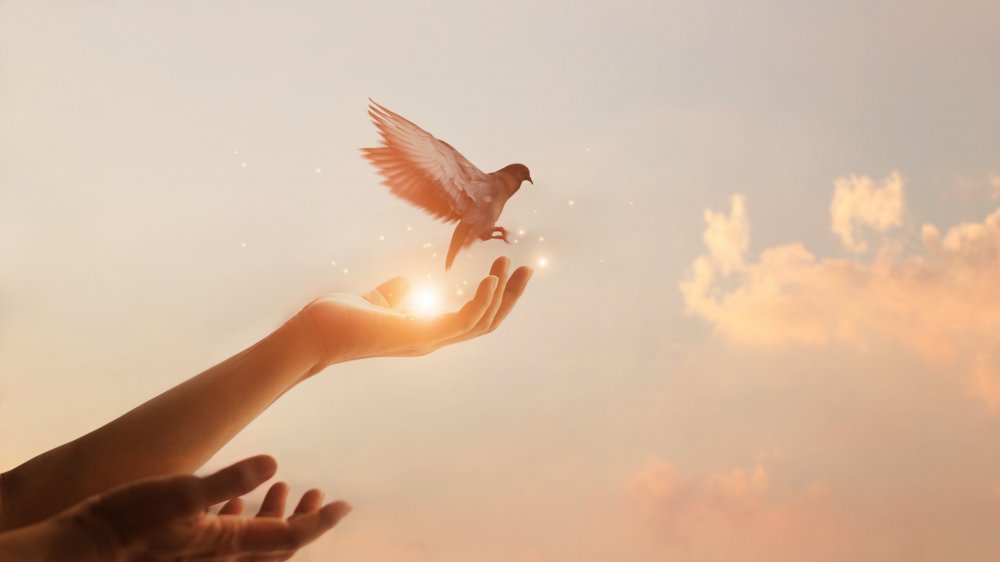 7 simbolov v sanjah, ki razkrivajo, da vas pokojni še vedno varujejo