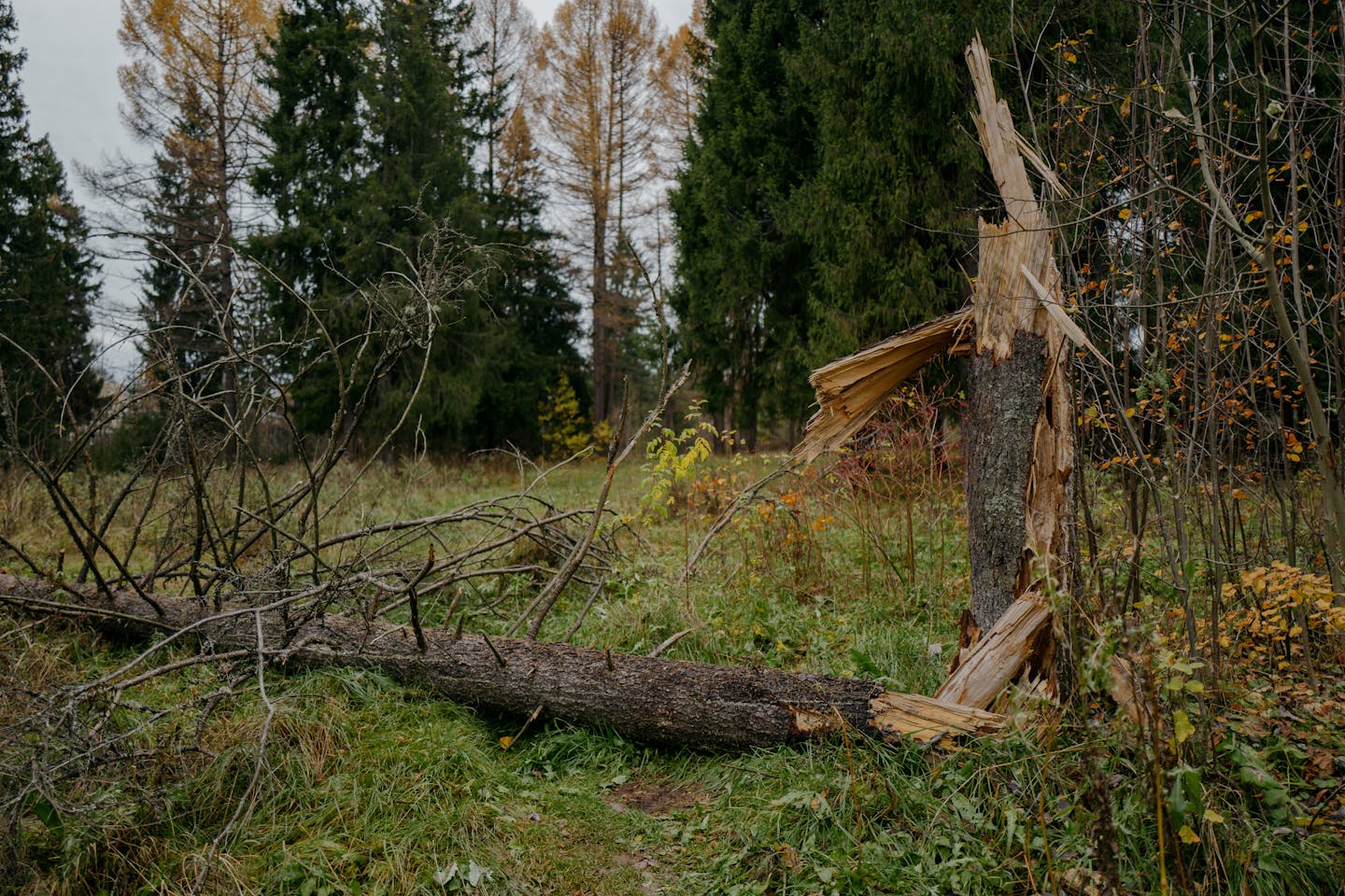 Usodno iskanje velikonočnih jajc, življenje izgubil 10-mesečni dojenček