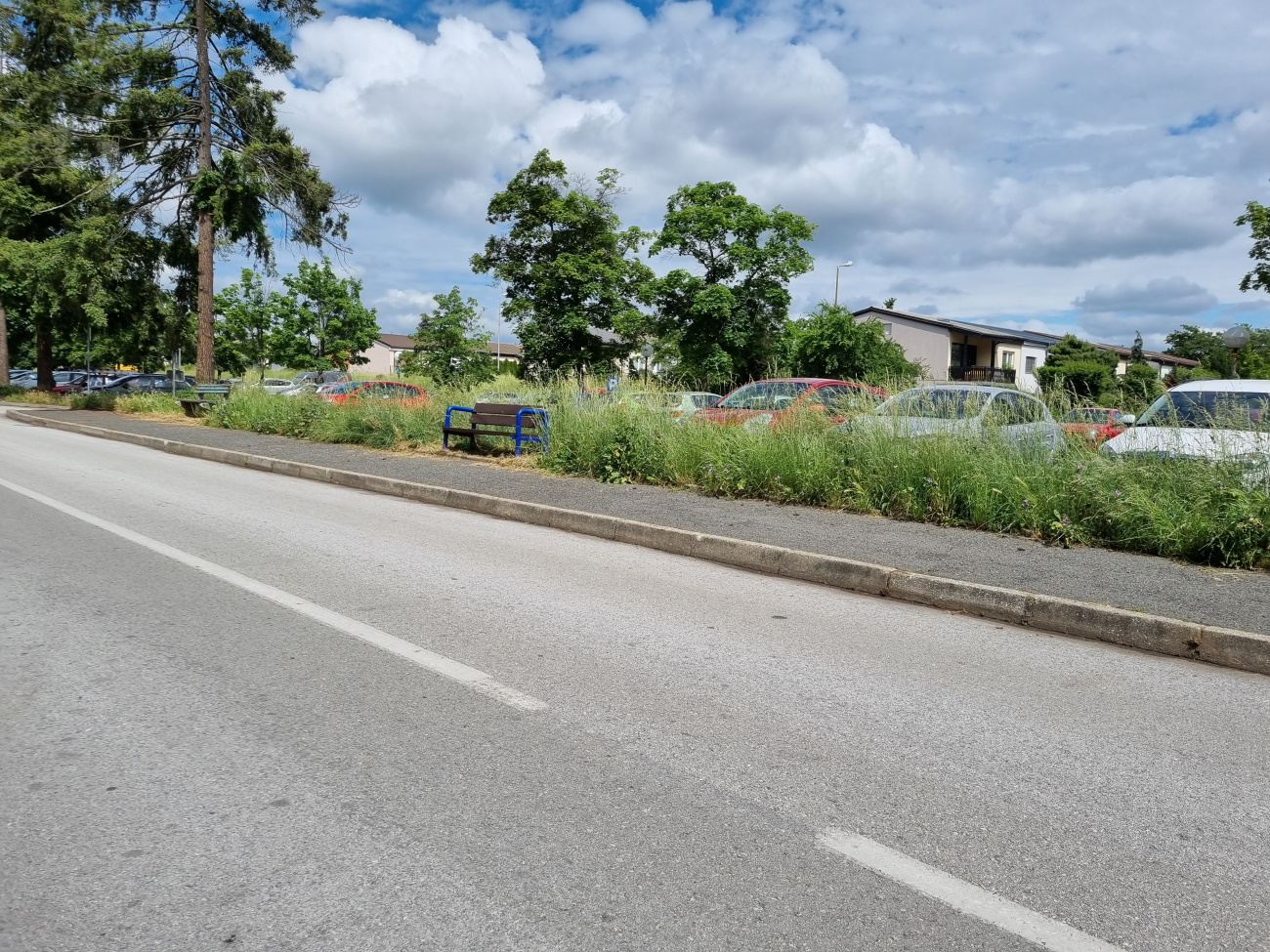 FOTO: Občani v Borovi vasi v nepokošeni travi več &#8220;ne najdejo svojih vozil&#8221;