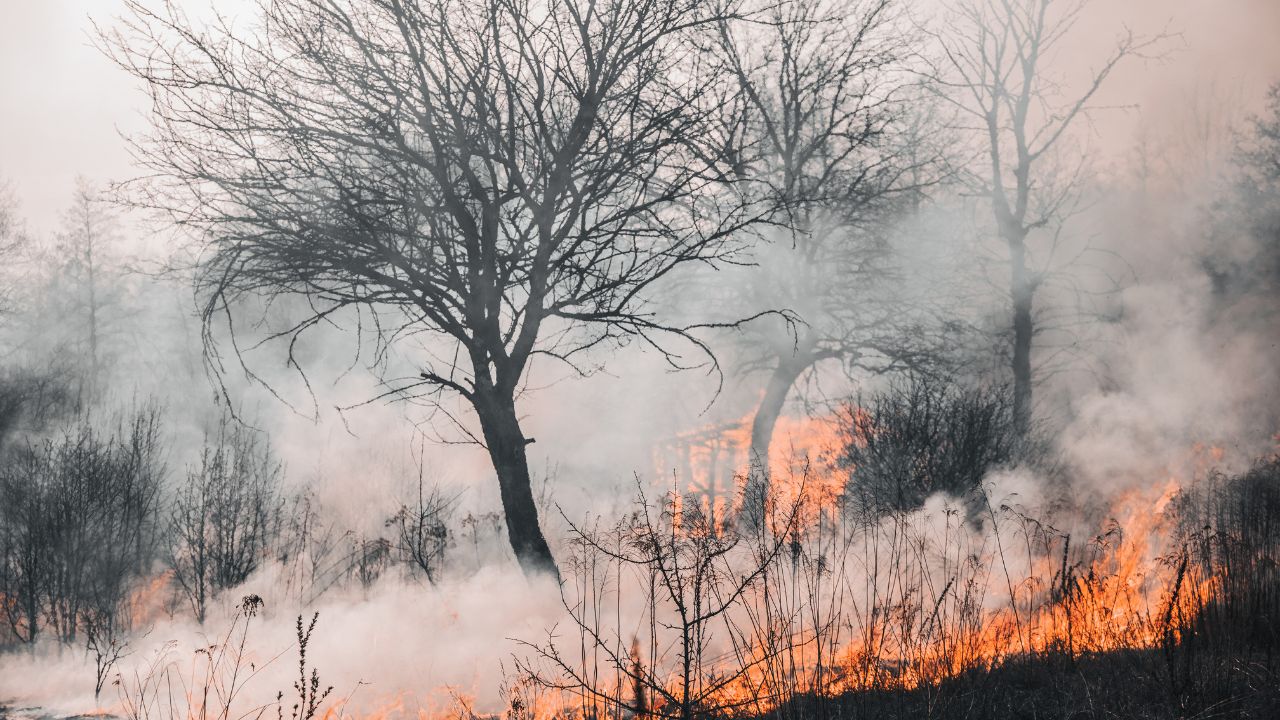 Začetek &#8220;zloma podnebja&#8221;: &#8220;Naš planet je pravkar prestal sezono vretja&#8221;