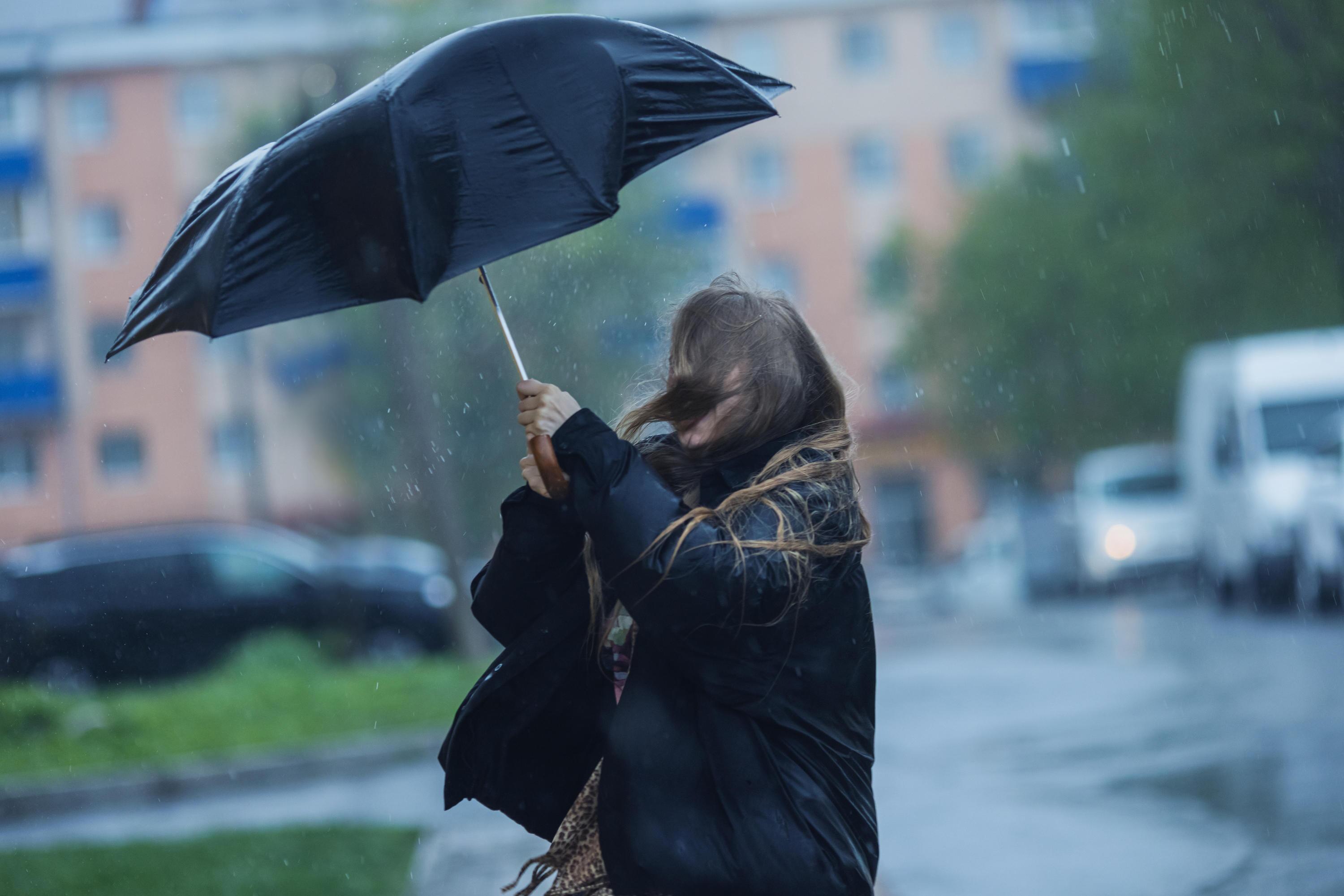 Veter že odkriva strehe in podira drevesa, sunki vetra se bodo še krepili