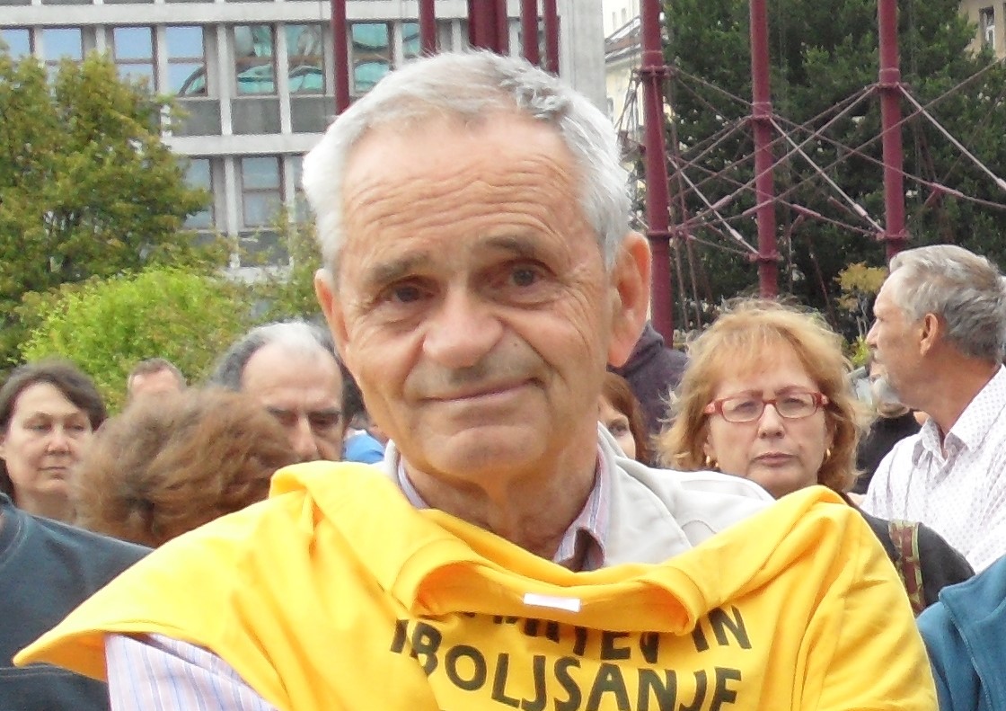 Z ustavno pritožbo želijo začasno zadržati izvajanja nedeljskih volitev