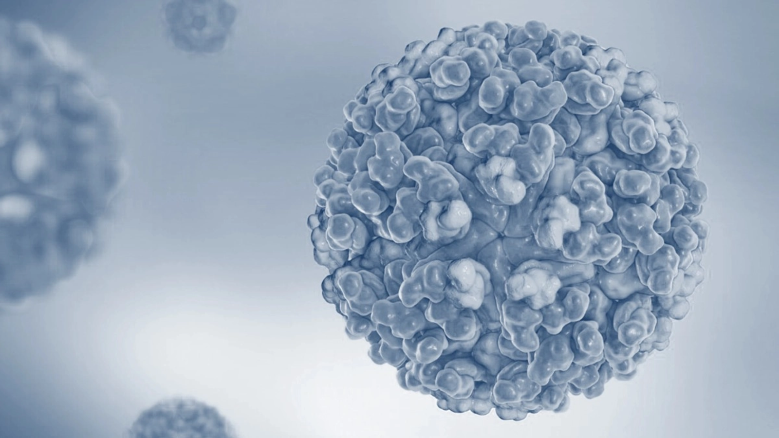 Alarm za Evropo: Virus, ki povzroča hudo in dolgotrajno bolečino, se širi hitreje, kot smo mislili