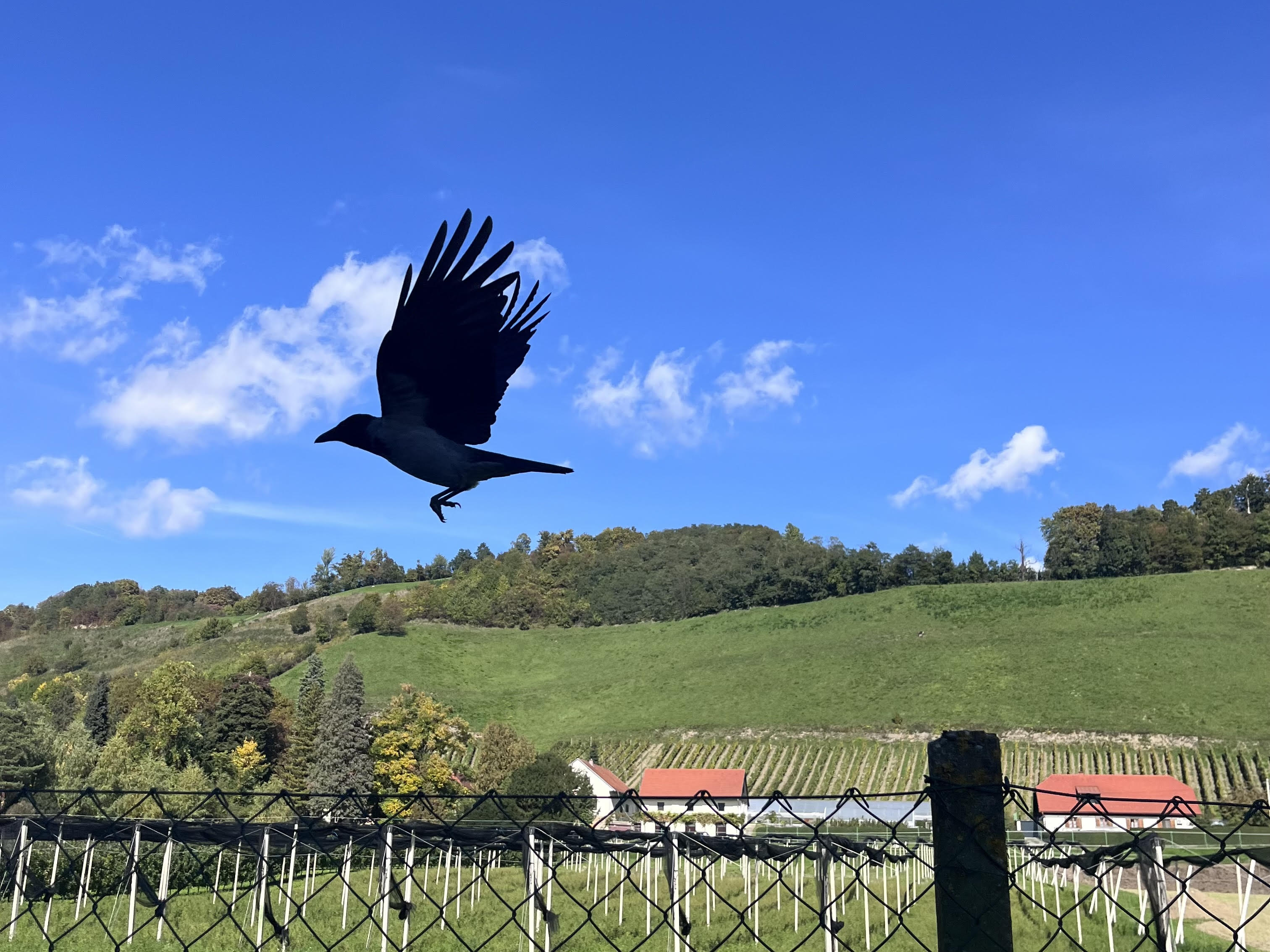 Novela zakona o ohranjanju narave: Brezplačne nedelje v naravi