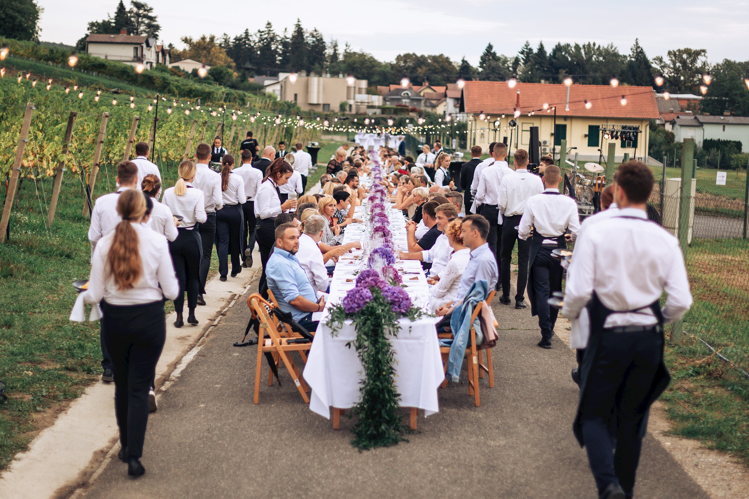 Žametna večerja med vinogradi prestavljena zaradi slabega vremena