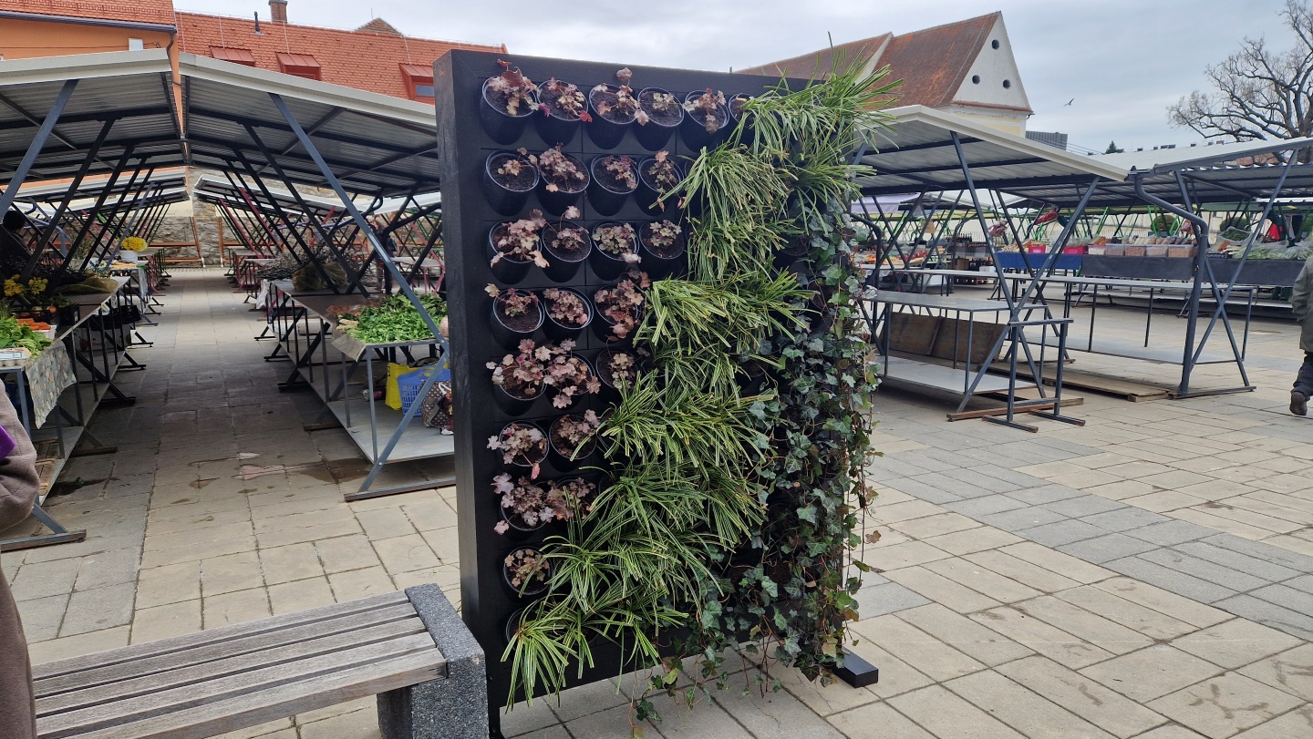 Nova pridobitev: Mariborsko tržnico po novem krasi zelena stena