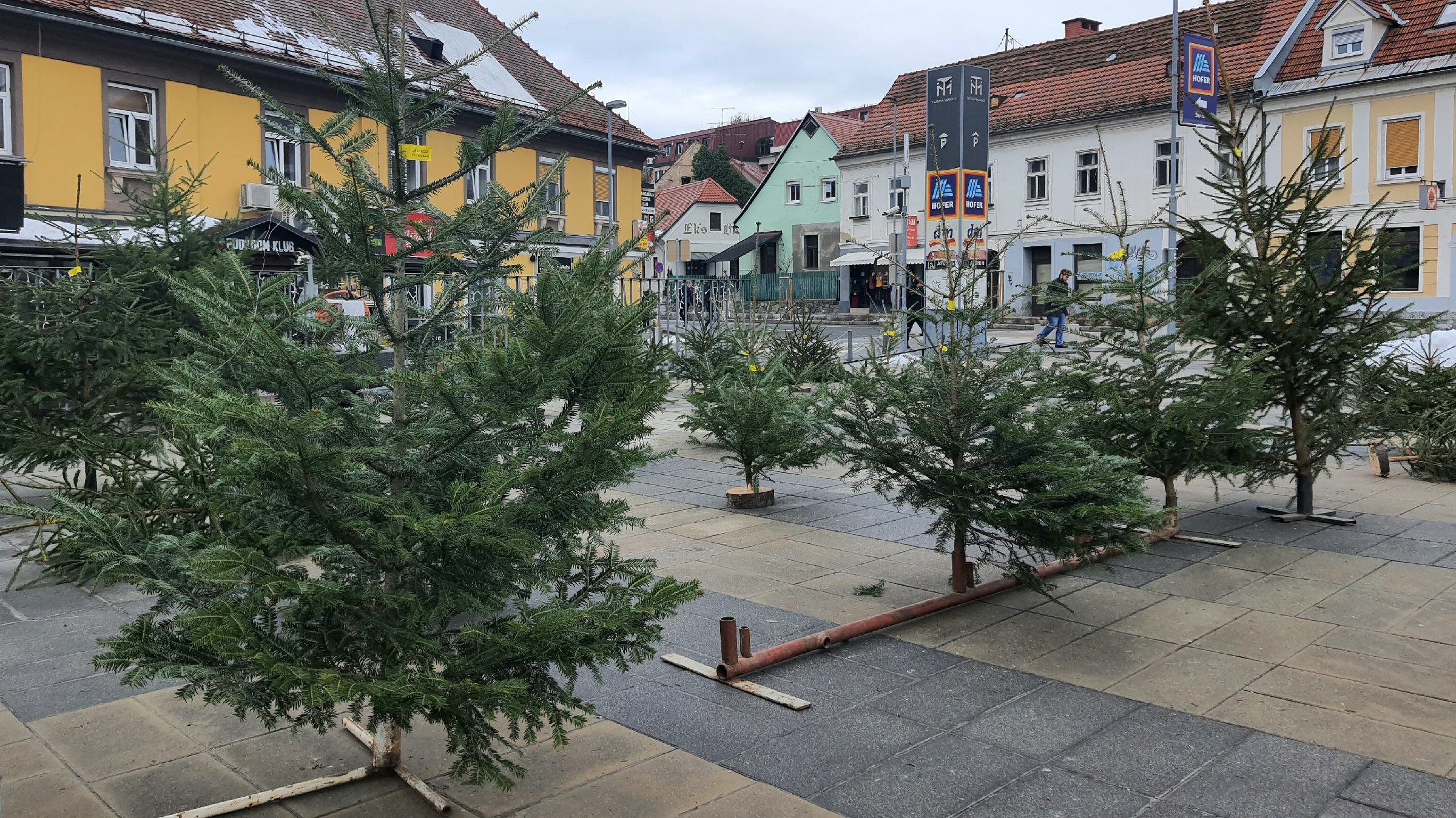 Dilema: umetno, naravno, posekano ali živo božično drevo