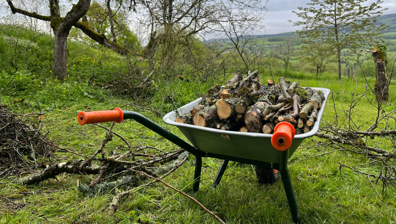Povelikonočni vodič za delo na vrtu in v okolici: Kaj postoriti v aprilu?